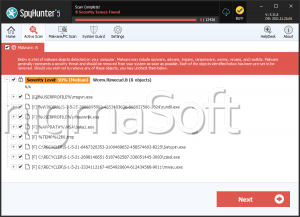 Worm:Win32/Rimecud.B screenshot