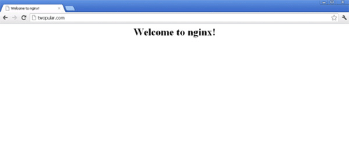 Nginx error message