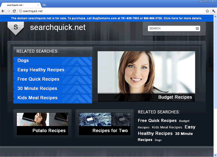 SearchQuick.net screenshot