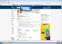 DictionaryBoss Toolbar Image 3