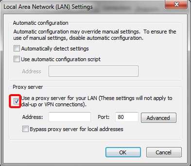 Internet Explorer Proxy Settings