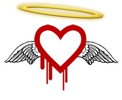 heartbleed bug fund for open source