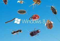 windows bug discovered google