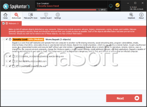 Worm: Win32/Bagsak.A screenshot