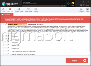 Worm.Allaple screenshot