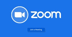 fake zoom install