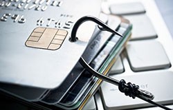 magecart credit card data theft nutribullet